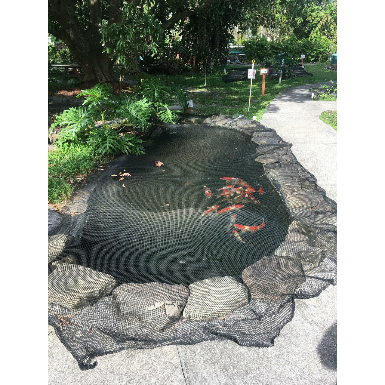 commercial fish pond nets, pond cover